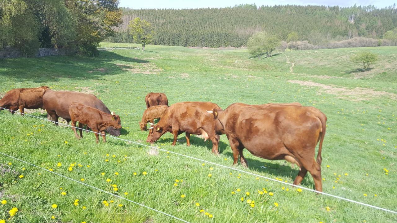 Ferienhaus Harzer Bauernhof Thale Eksteriør bilde