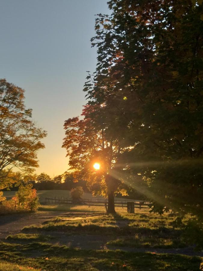 Ferienhaus Harzer Bauernhof Thale Eksteriør bilde